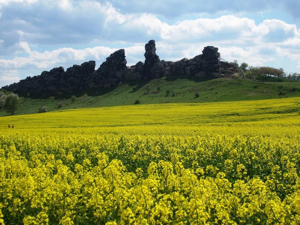 Ferienhaus Wotan Thale Zewnętrze zdjęcie